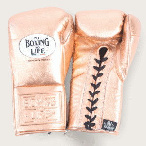 No Boxing No Life Glove -GlovesMate USA, NBNL Boxing Gloves, Leather Gloves