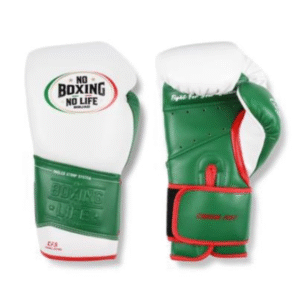 No Boxing No Life Glove -GlovesMate USA, NBNL Boxing Gloves, Leather Gloves