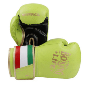 No Boxing No Life Glove -GlovesMate USA, NBNL Boxing Gloves, Leather Gloves