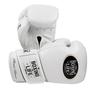 No Boxing No Life Glove -GlovesMate USA, NBNL Boxing Gloves, Leather Gloves
