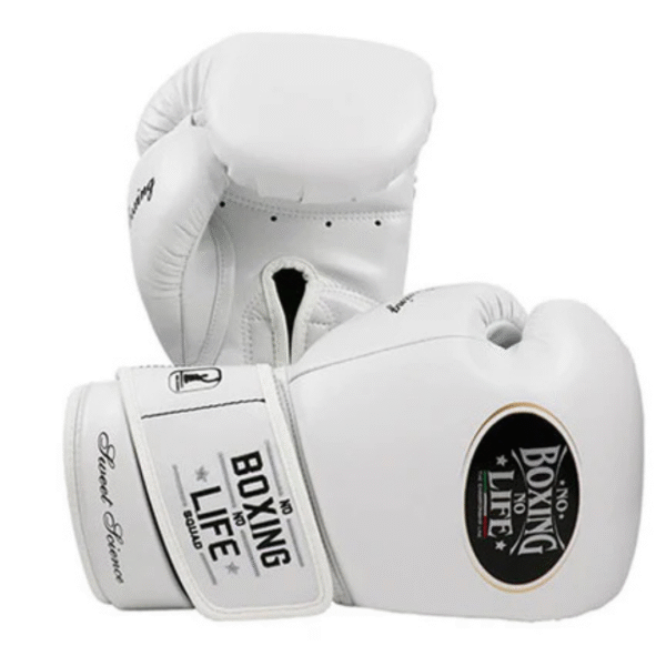 No Boxing No Life Glove -GlovesMate USA, NBNL Boxing Gloves, Leather Gloves