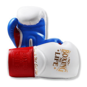 No Boxing No Life Glove -GlovesMate USA, NBNL Boxing Gloves, Leather Gloves