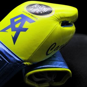 No Boxing No Life Gloves , Parrot/Blue NBNL Gloves Christmas Gift for Men, Thanksgiving Gifts for Him