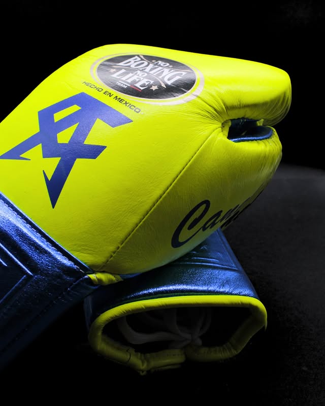 No Boxing No Life Gloves , Parrot/Blue NBNL Gloves Christmas Gift for Men, Thanksgiving Gifts for Him